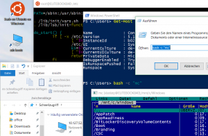 bash Befehle ausführen