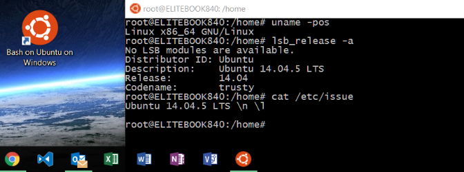 Linux Bash on Windows