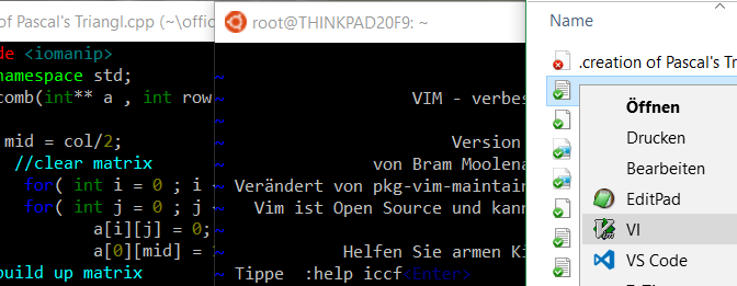 VIM Editor Windows Installation