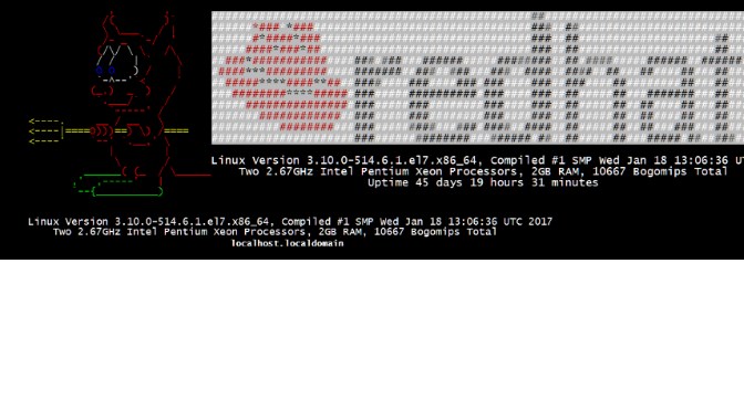 Linux Splash Screen mit Linuxlogo