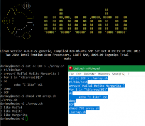 Feature von KiTTY ist der integrierte Editor