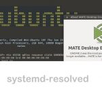 systemd-resolved