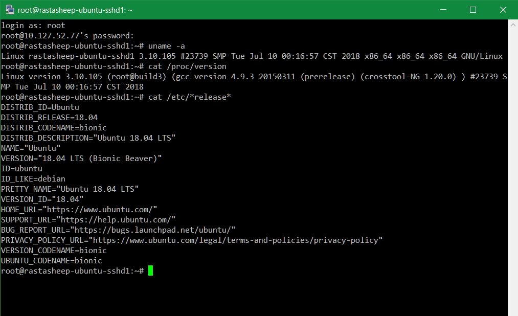 Docker in Terminal nutzen