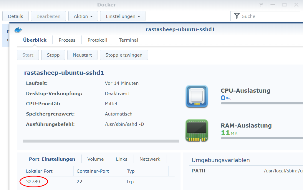 Abbildung: Synology DSM Docker Conatainer