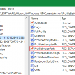 In Registry den Key ProfileImagePath öffnen