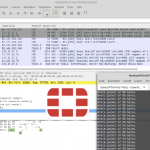 wireshark-fortigate