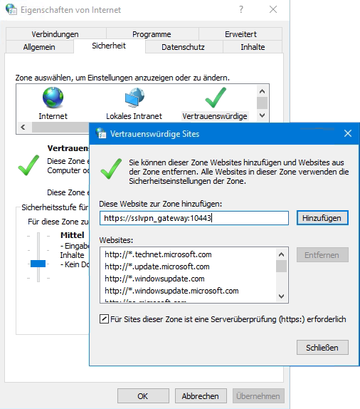 Windows Internetoptionen Sicherheit Trusted Sites, Credential ssl-vpn