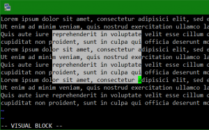 Disable VIM copy paste Insert Visual Mode UNBLOG Tutorials