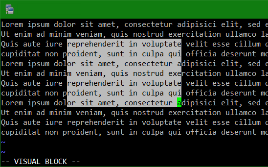 VIM Visual Block Mode deaktivieren beim einfügen mit Maus-Rechtsklick