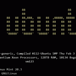 Mark block and area in Windows Terminal
