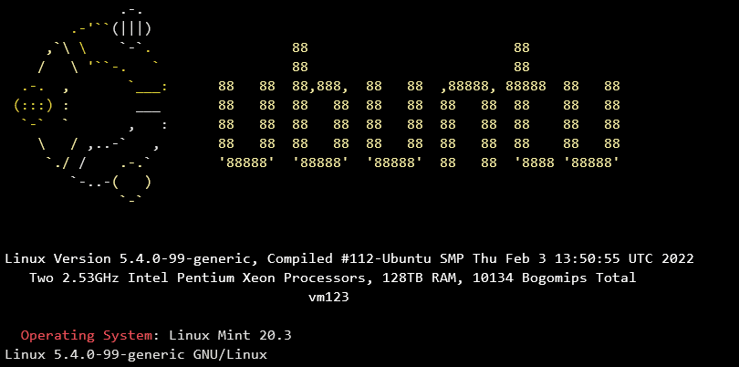 Block und Bereich markieren in Windows Terminal