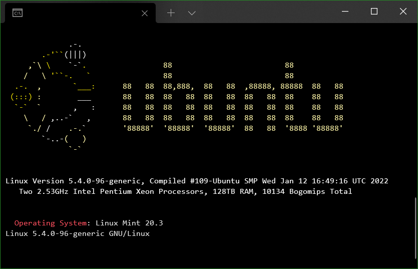 Windows Terminal SSH Session