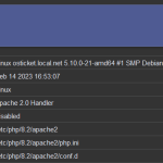 phpinfo in Webbrowser öffnen