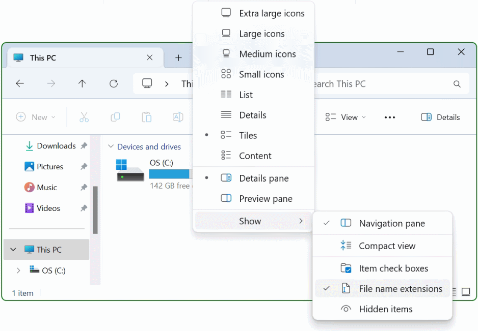Windows 11 File explorer Show File name extensions
