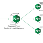 Nginx Reverse Proxy
