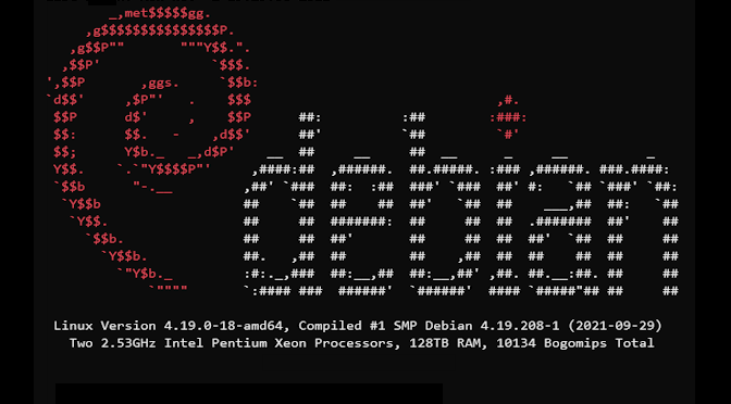 Debian 11 zu Debian 13 Upgrade
